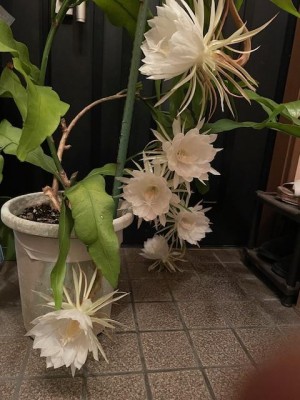 image2.jpeg