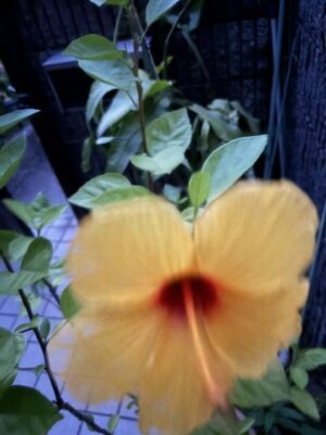 image3.jpeg